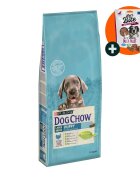 Purina Dog Chow Puppy L-XL Curcan hrană uscată câini junior 14kg