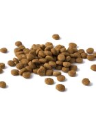 Purina Dog Chow Puppy M Miel hrană uscată câini junior 14kg