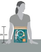 Purina ONE Adult Pui hrană uscată pisici 750g