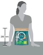 Purina ONE Indoor Curcan și Cereale Integrale hrană uscată pisici 750g