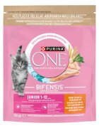 Purina ONE Junior Pui hrană uscată pisici junior 750g