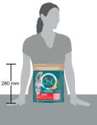 Purina ONE Sterilcat Somon și Grâu hrană uscată pisici sterilizate 750g