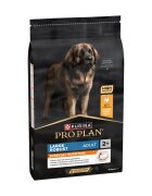 Purina Pro Plan Everyday Nutrition Large Robust L-XL Pui hrană uscată câini 10kg