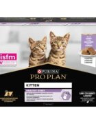 Purina Pro Plan Healthy Start Kitten Curcan plic hrană umedă pisici junior (în sos) 85g x 26buc