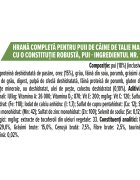 Purina Pro Plan Robust Puppy L Pui hrană uscată câini junior constituție robustă 12kg