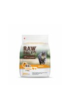 Raw Paleo Curcan și Pui hrană uscată fără cereale pisici 250g