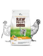 Raw Paleo Kitten Curcan și Pui hrană uscată fără cereale pisici junior 6kg
