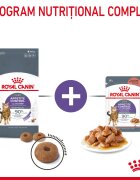 Royal Canin Appetite Control Care Adult hrană umedă pisici reglarea apetitului (în sos) 85g