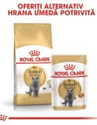 Royal Canin British Shorthair Adult hrană umedă pisici (în sos) 85g