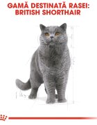 Royal Canin British Shorthair Adult hrană uscată pisici 10kg