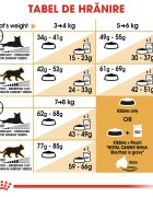 Royal Canin British Shorthair Adult hrană uscată pisici 2kg