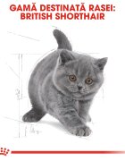 Royal Canin British Shorthair Kitten hrană uscată pisici junior 10kg