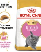 Royal Canin British Shorthair Kitten hrană uscată pisici junior 2kg