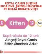 Royal Canin British Shorthair Kitten hrană uscată pisici junior 2kg