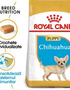 Royal Canin Chihuahua Puppy hrană uscată câini junior 1.5kg