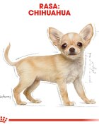 Royal Canin Chihuahua Puppy hrană uscată câini junior 1.5kg