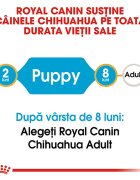 Royal Canin Chihuahua Puppy hrană uscată câini junior 1.5kg