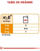 Royal Canin Coat Care Adult hrană umedă câini blană sănătoasă și lucioasă (pate) bax 85g x 12buc
