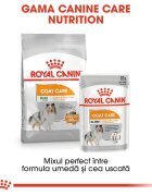 Royal Canin Coat Care Adult hrană umedă câini blană sănătoasă și lucioasă (pate) bax 85g x 12buc