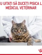 Royal Canin Dental Care Adult hrană uscată pisici reducerea formării tartrului 8kg
