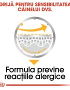 Royal Canin Dermacomfort Adult hrană umedă câini prevenirea iritațiilor pielii (pate) 85g