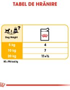 Royal Canin Dermacomfort Adult hrană umedă câini prevenirea iritațiilor pielii (pate) 85g