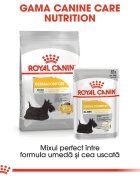 Royal Canin Dermacomfort Adult hrană umedă câini prevenirea iritațiilor pielii (pate) 85g
