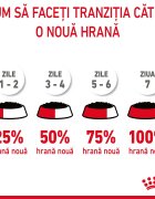 Royal Canin Digest Sensitive Care Adult hrană umedă pisici confort digestiv (în sos) 85g