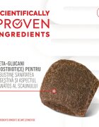 Royal Canin Digestion Chews Adult Supplements punguță recompense funcționale câini sistem digestiv 160g