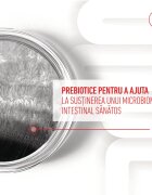 Royal Canin Digestion Chews Adult Supplements punguță recompense funcționale câini sistem digestiv 160g
