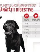 Royal Canin Digestion Chews Adult Supplements punguță recompense funcționale câini sistem digestiv 160g