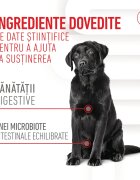Royal Canin Digestion Chews Adult Supplements punguță recompense funcționale câini sistem digestiv 160g