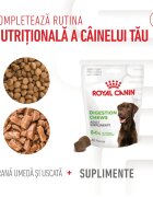Royal Canin Digestion Chews Adult Supplements punguță recompense funcționale câini sistem digestiv 160g
