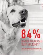 Royal Canin Digestion Chews Adult Supplements punguță recompense funcționale câini sistem digestiv 160g