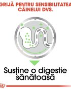 Royal Canin Digestive Care Adult hrană umedă câini confort digestiv (pate) bax 85g x 12buc