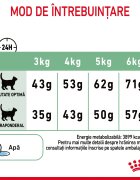 Royal Canin Digestive Care Adult hrană uscată pisici confort digestiv 10kg