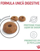 Royal Canin Digestive Care Adult hrană uscată pisici confort digestiv 400g