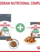 Royal Canin Digestive Care Adult hrană uscată pisici confort digestiv 400g