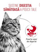 Royal Canin Feline Care Nutrition Digestive Care AirLift conservă hrană umedă pisici sistem digestiv (mousse) 85g