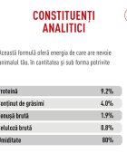 Royal Canin Feline Care Nutrition Digestive Care AirLift conservă hrană umedă pisici sistem digestiv (mousse) 85g