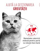 Royal Canin Feline Care Nutrition Light Weight Care AirLift conservă hrană umedă pisici obezitate (mousse) bax 85g x 12buc