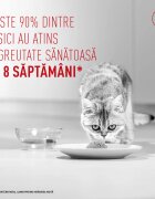 Royal Canin Feline Care Nutrition Light Weight Care AirLift conservă hrană umedă pisici obezitate (mousse) bax 85g x 12buc