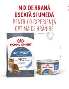 Royal Canin Feline Care Nutrition Light Weight Care AirLift conservă hrană umedă pisici obezitate (mousse) bax 85g x 12buc