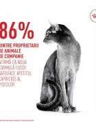 Royal Canin Feline Health Nutrition Fussy hrană uscată pisici apetit capricios 10kg