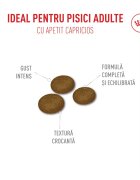 Royal Canin Feline Health Nutrition Fussy hrană uscată pisici apetit capricios 10kg