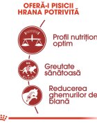 Royal Canin Fit32 Adult hrană uscată pisici activitate fizică moderată 10+2kg GRATUIT