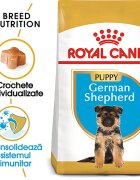 Royal Canin German Shepherd Puppy hrană uscată câini junior 3kg