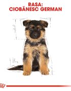 Royal Canin German Shepherd Puppy hrană uscată câini junior 3kg