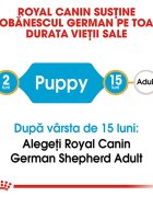 Royal Canin German Shepherd Puppy hrană uscată câini junior 3kg