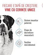 Royal Canin Giant Junior hrană uscată câini junior etapa 2 de creștere 15kg
